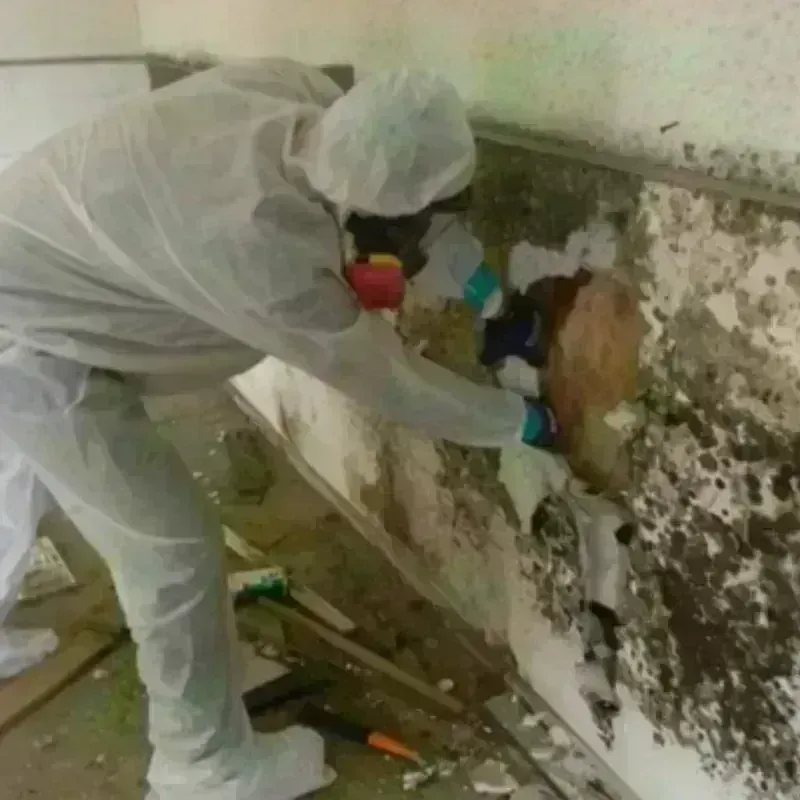 Mold Remediation and Removal in Harrah, OK